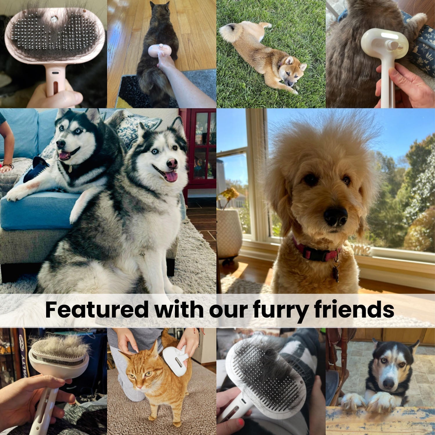 Pawlish™ | Tierpflegebürste