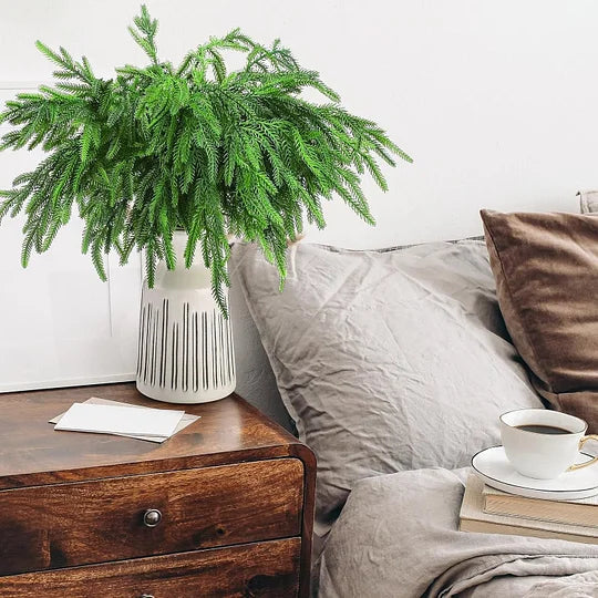 🎄Natürliche Weihnachtsdekoration🎄Norfolktannenast