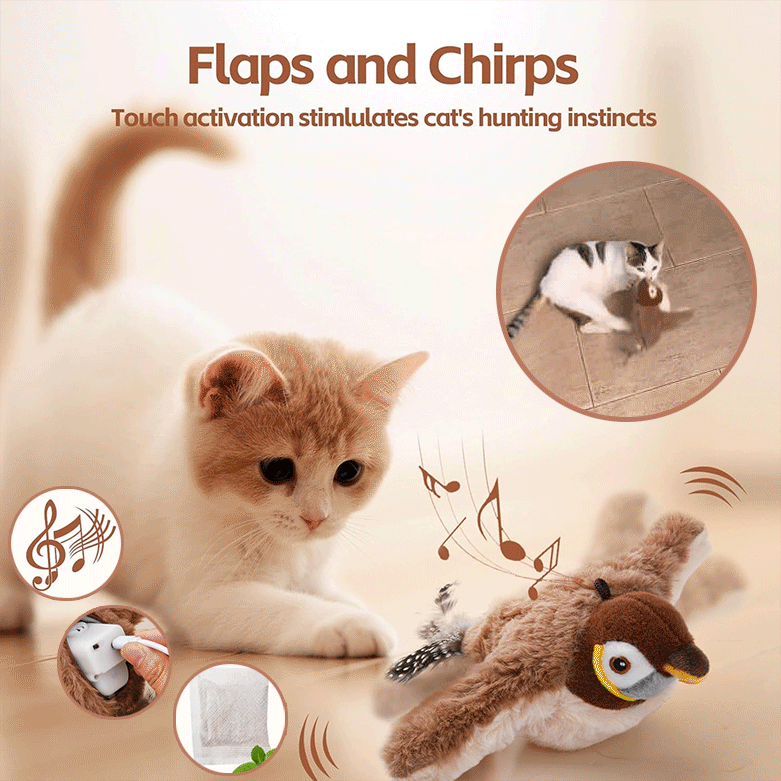 ChirpBuddy – Interaktives Vogelspielzeug für Katzen