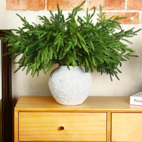 🎄Natürliche Weihnachtsdekoration🎄Norfolktannenast