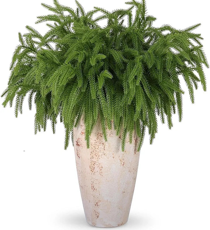 🎄Natürliche Weihnachtsdekoration🎄Norfolktannenast