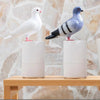 PigeonClean™ – Automatischer Seifenspender für maximale Hygiene