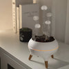 Jellyfuser™ | Aroma-Diffusor für Ätherische Öle