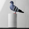 PigeonClean™ – Automatischer Seifenspender für maximale Hygiene