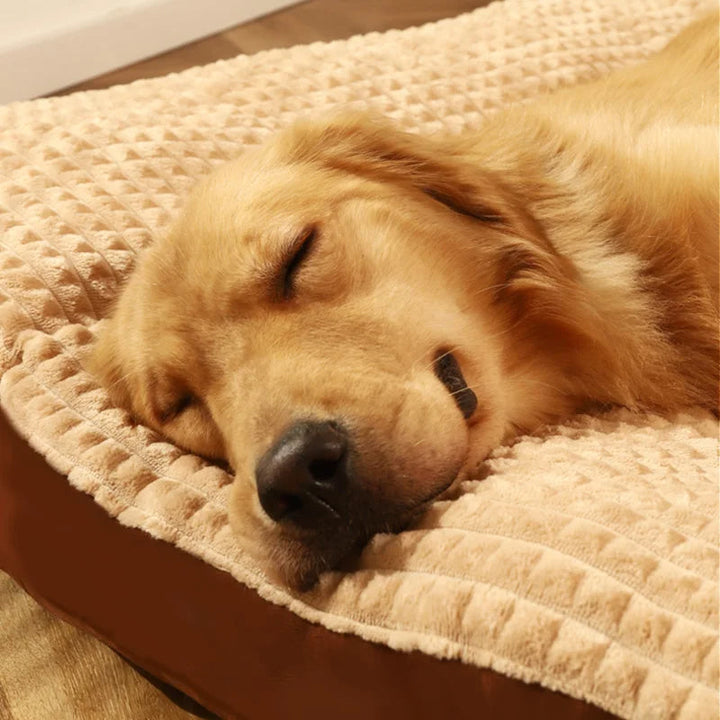 Hundebett weich &amp; rutschfest in 4 Größen