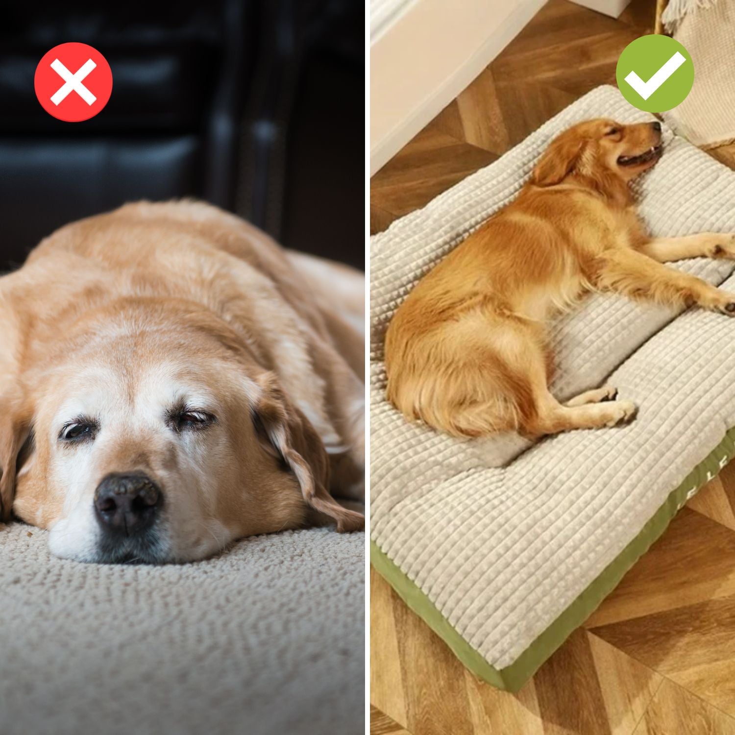 SnoozePet™ Comfort Hundebett - Für erholsamen Schlaf und vitale Tage