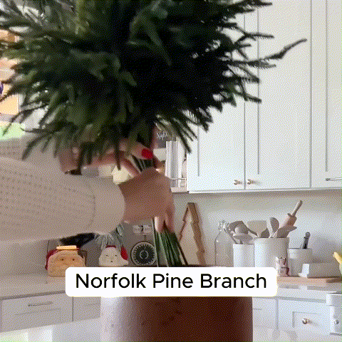 Natürliche WeihnachtsdekorationNorfolktannenast
