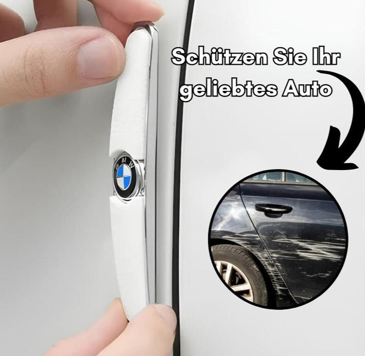 DellenSchutz Delle Autoschutzschild