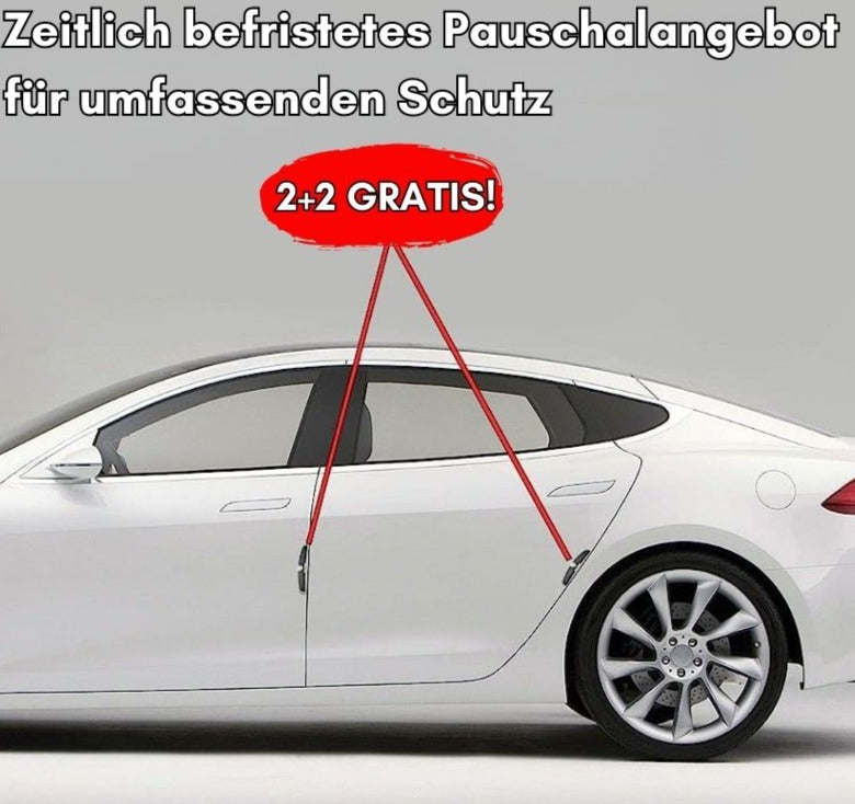 DellenSchutz Delle Autoschutzschild