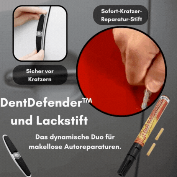 DellenSchutz Delle Autoschutzschild