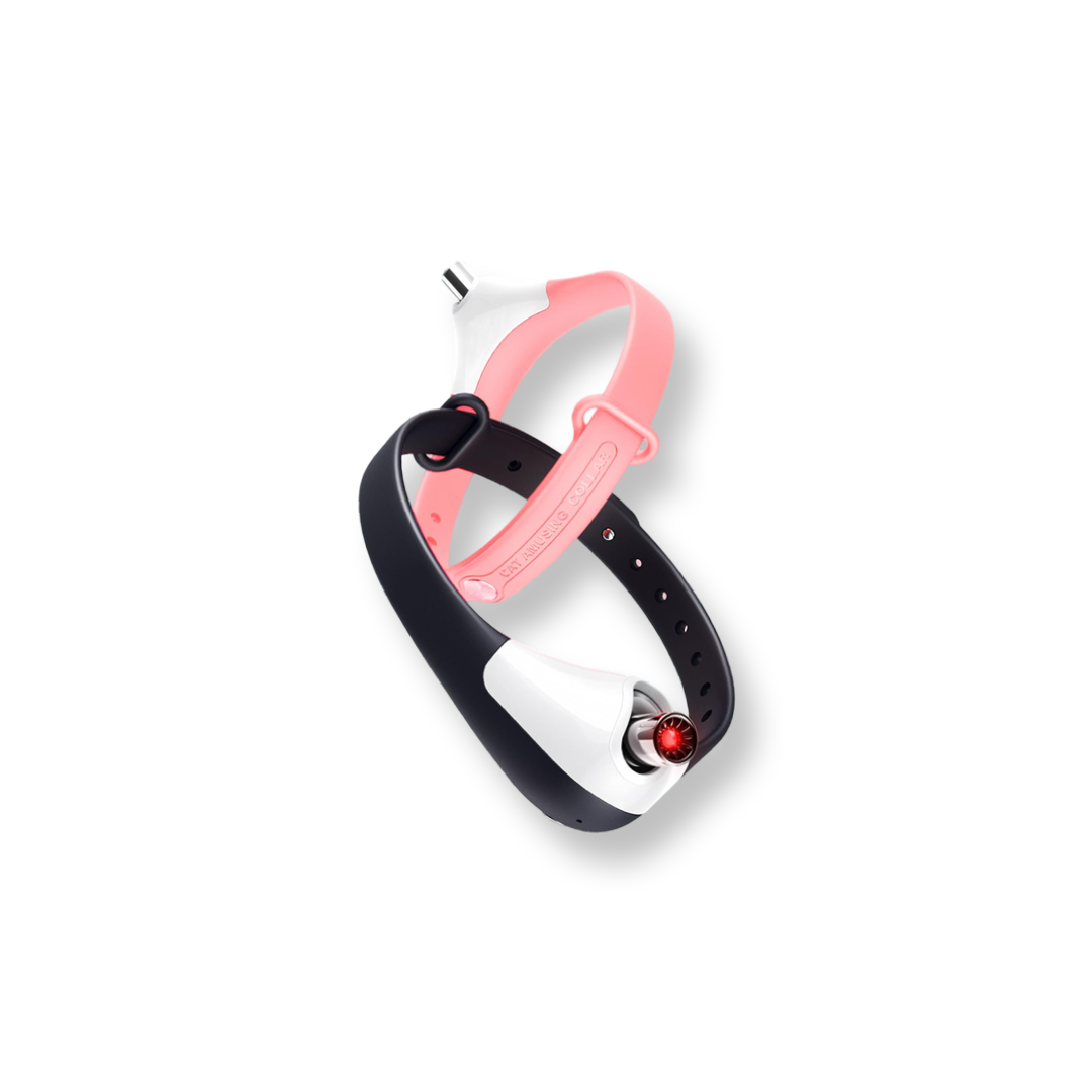 PurrSuit™ | Interaktives Laser-Halsband