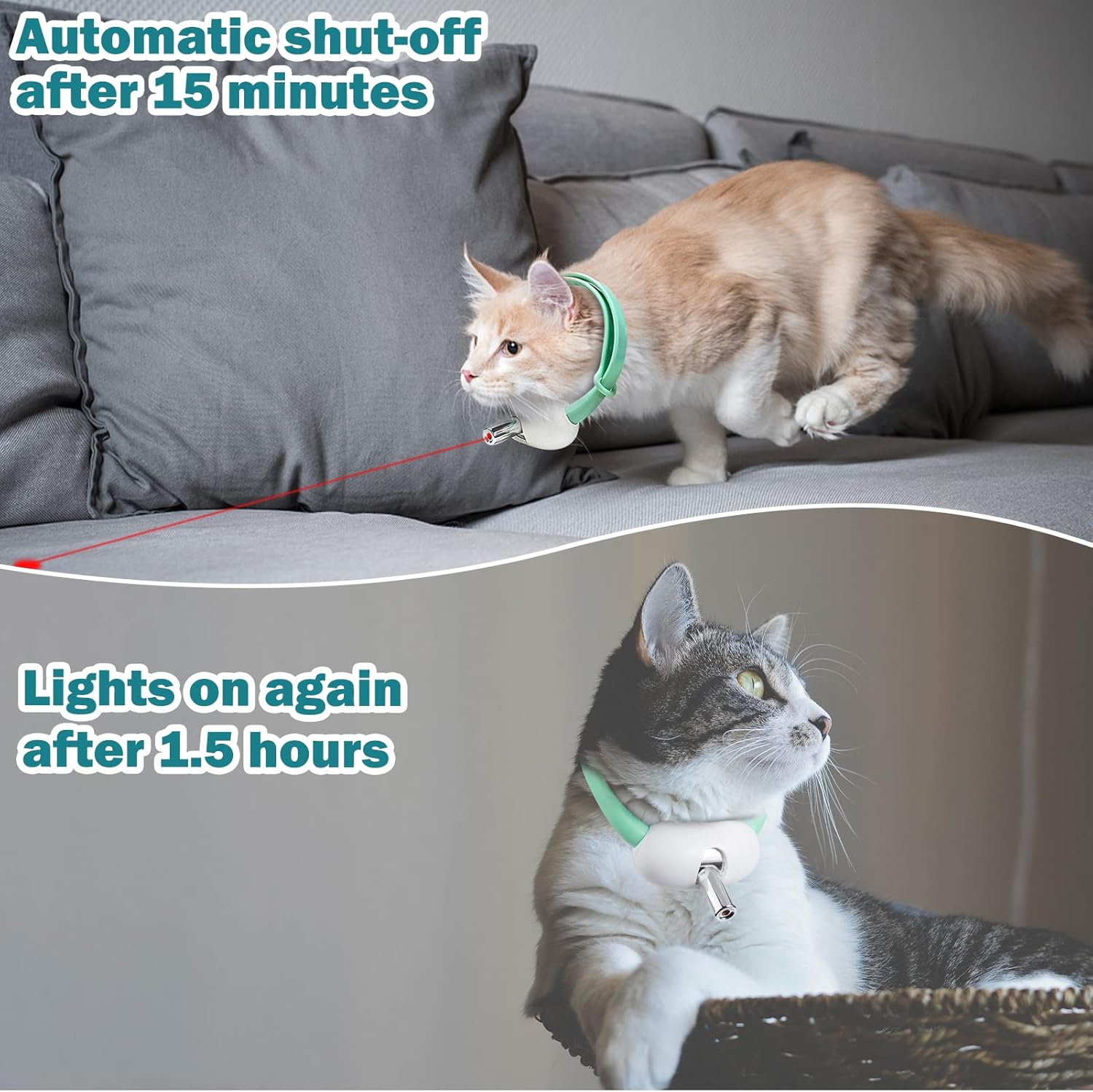 PurrSuit™ | Interaktives Laser-Halsband