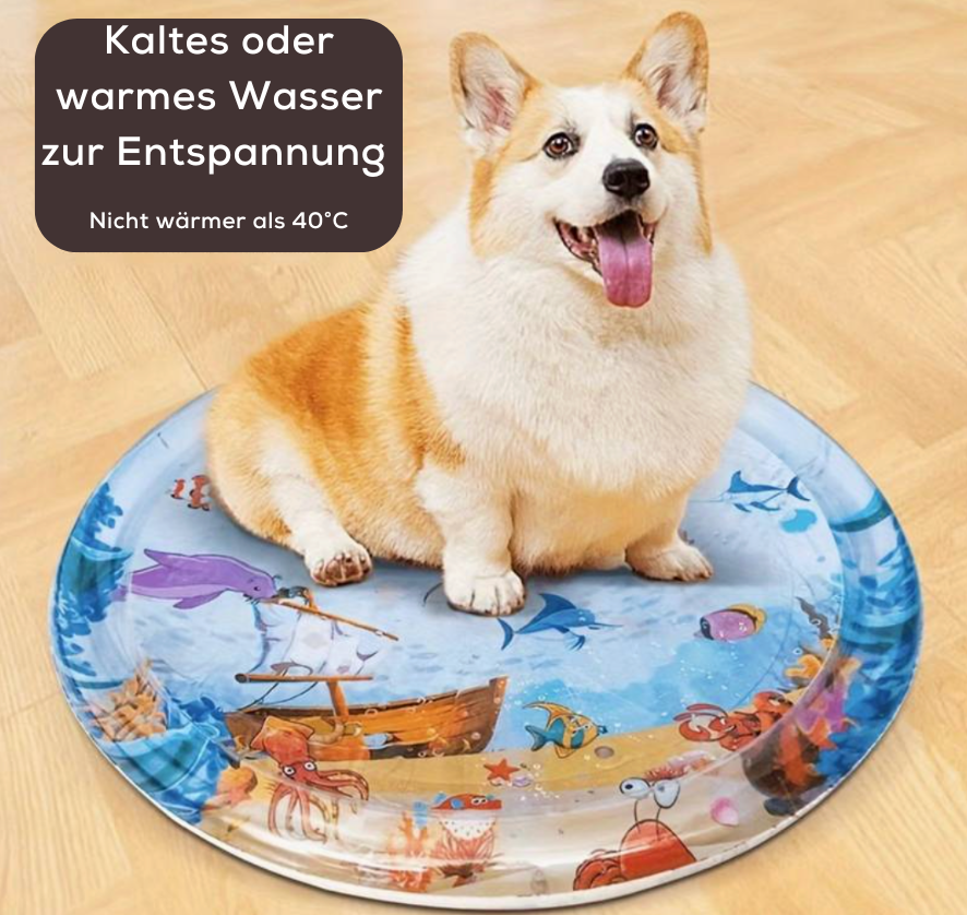 Waterlou™ - Kühlende Spielmatte für Katzen