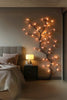Bright Ranke