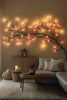 Bright Ranke