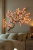 Bright Ranke