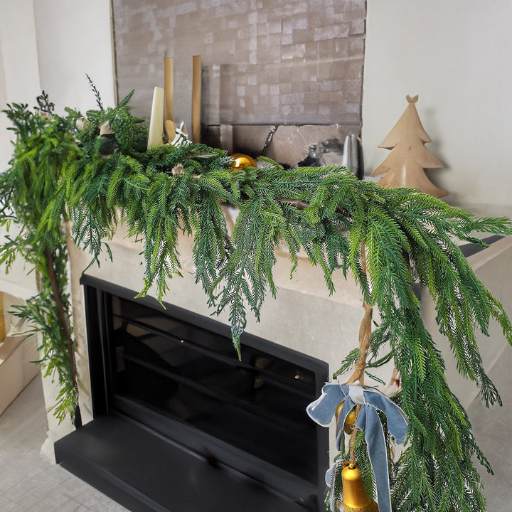 Natürliche WeihnachtsdekorationNorfolktannenast