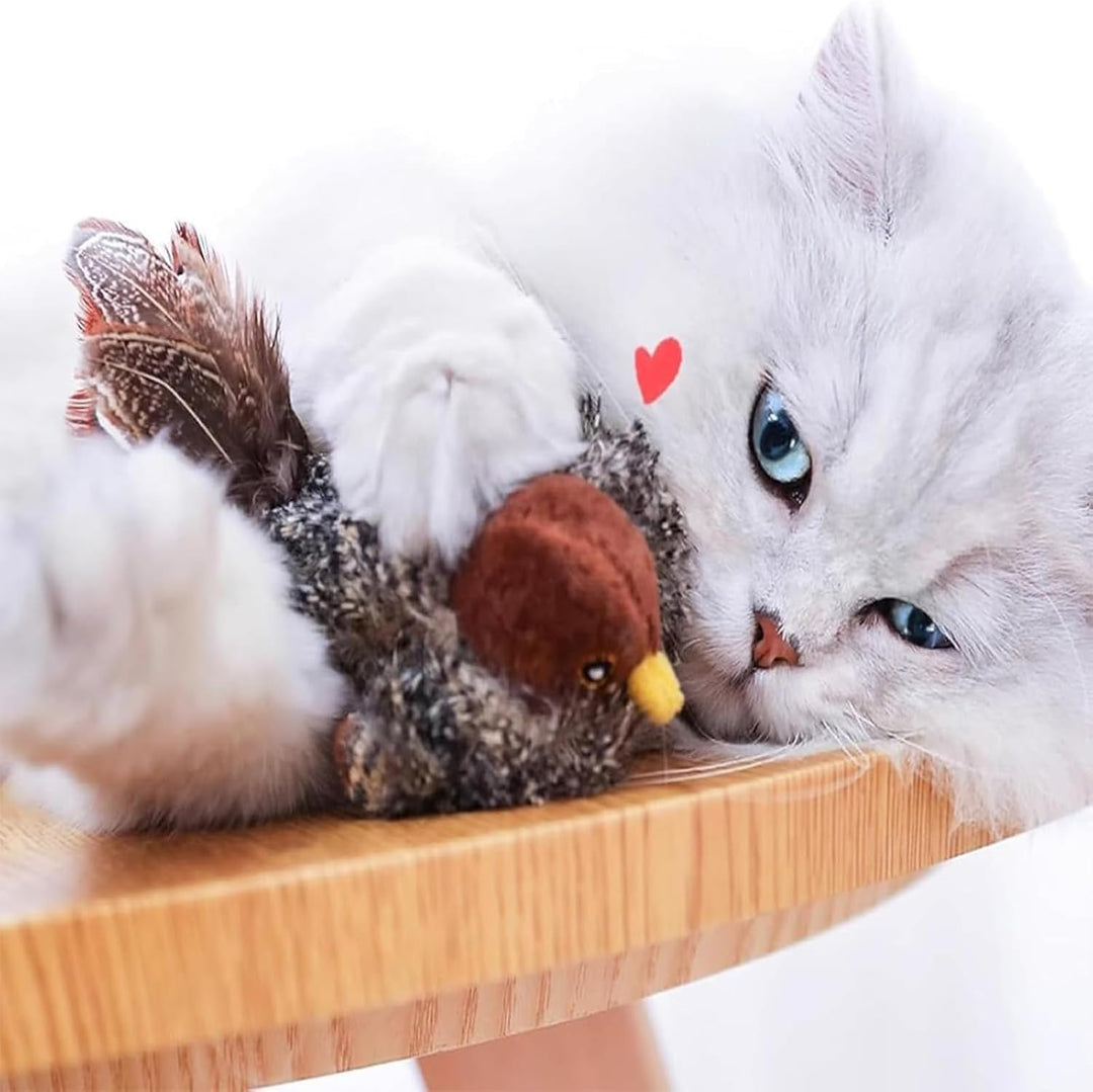 Katzenjagd| Wecken Sie den wilden Instinkt Ihres Cats!