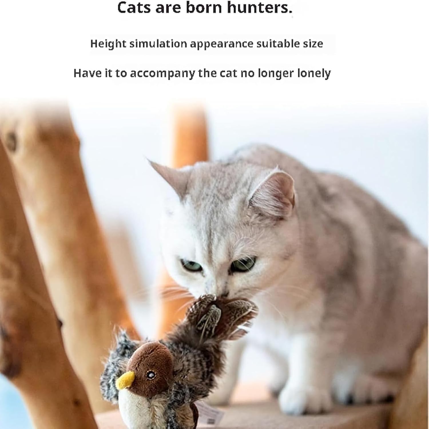 Katzenjagd™ | Wecken Sie den wilden Instinkt Ihres Cats!