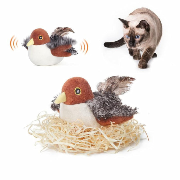 Katzenjagd| Wecken Sie den wilden Instinkt Ihres Cats!