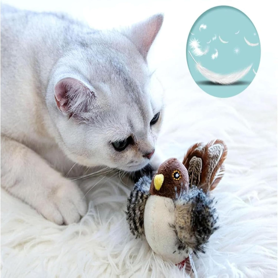 Katzenjagd| Wecken Sie den wilden Instinkt Ihres Cats!