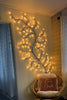 Bright Ranke