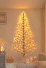 Bright Ranke