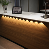 IlluminatePro™ - bewegungsempfindliche LED-Beleuchtung