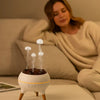 Jellyfuser™ | Aroma-Diffusor für Ätherische Öle